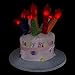Windy City Novelties LED Light-Up Happy Birthday Cake Hat – Flashing Candle Party Hat for Kids’ Birthdays & Celebrations