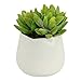 Small Faux Sedum Succulent in Round White Ceramic Planter - 4 x 4.5 Inches - Marmeda Decor Potted Artificial Plant in Glazed Clay Vase - Global Modern Decor for Home or Office