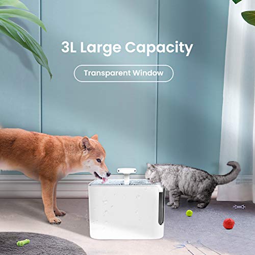 Apexto Pet Drinking Water Fountain, Automatic Pet Water Dispenser