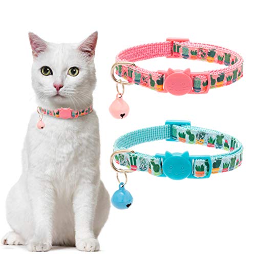 cactus cat collar
