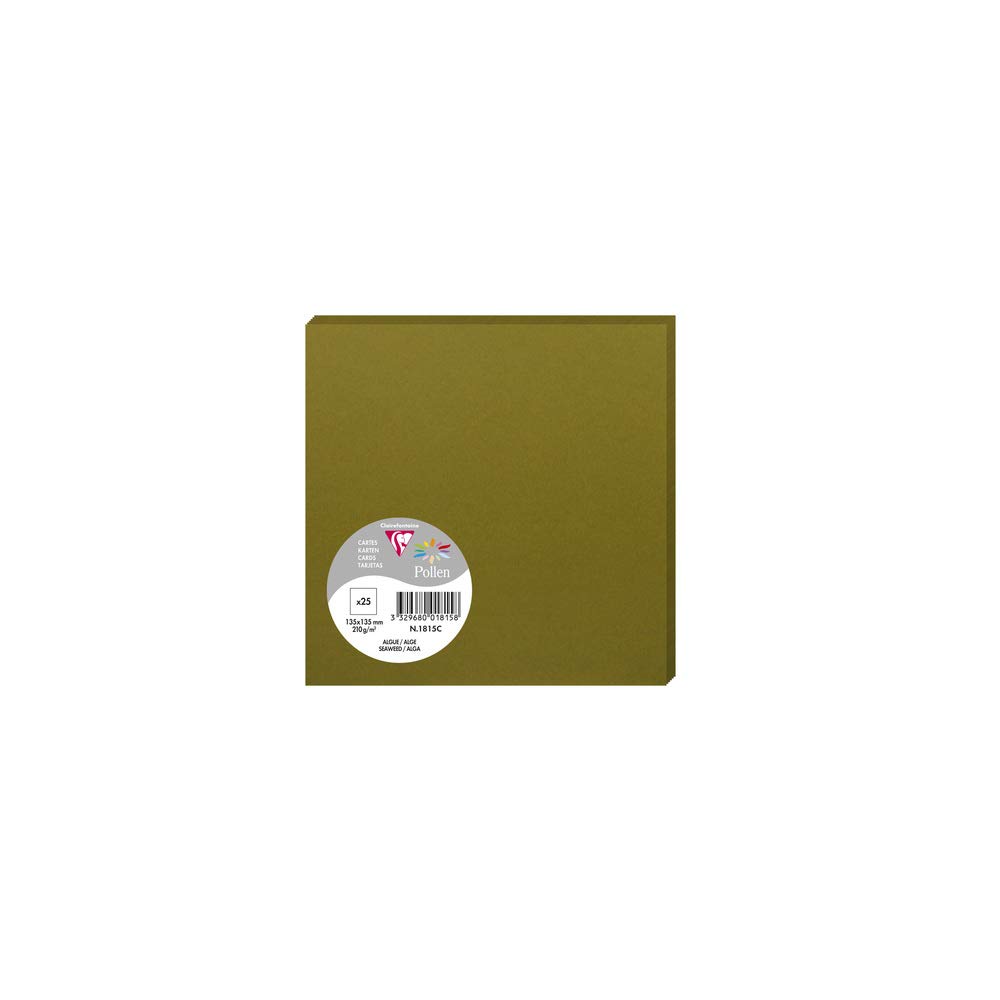 Clairefontaine 1815C Pack of 25 Plain Cards Square Format 13.5x13.5cm 210g/m² Seaweed Colour Invitation Correspondence Cards Pollen Range Premium Smooth Paper — image 1