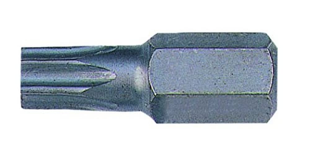 5XPUNTAS 10MM TORX T55 30MM