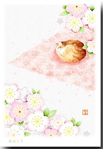 Amazon 花のポストカード 花むしろ 桜絵葉書 和道楽 ポストカード 絵柄付はがき 文房具 オフィス用品