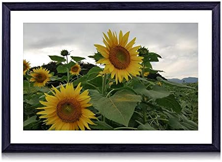 80cmx60cm 木製の黒色のフォトフレーム ひまわり花粉フィールド空曇り 壁掛け 壁飾り 壁ポスター おしゃれ ウォールアート アートパネル 壁の絵 インテリア絵画 額縁 部屋飾り 装飾画