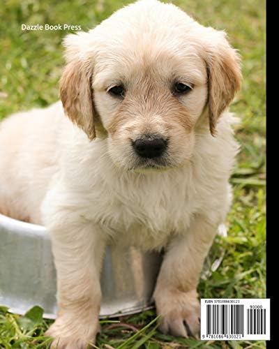 2020 Weekly And Monthly Planner Monthly Calendar With U S Uk Canadian Christian Jewish Muslim Holidays Calendar In Review Notes 8 X 10 In Golden Retriever Dog Breed Pets By Book Press Dazzle Amazon Ae