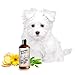 Sofee & Co. Natural Oatmeal Dog Puppy Conditioner – Detangle Moisturize Soothe Soften Normal Dry Itchy Flaky Allergy Sensitive Skin. Prevent Mattes. 16 oz (White Tea & Ginger)