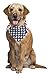 AISHNE 2 Pack Dog Bandana Bibs Scarfs Accessories for Pet-American Flag Bandana for Dogs Large or Small