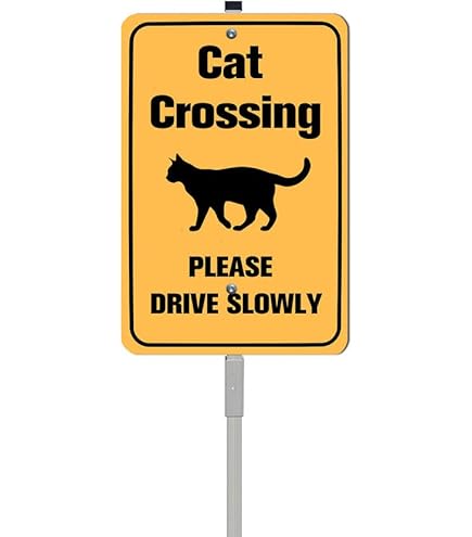 Amazon.com: GRAPHICS & MORE Plastic Sign Lizard Crossing - 8