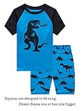 Family Feeling Little Boys Train 2 Piece Pajamas Shorts 100% Cotton