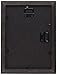Craig Frames 200ASHBK 18 by 24-Inch Picture Frame, Wood Grain Finish, .75-Inch Wide, Black
