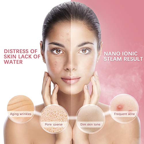 Liberex Facial Steamer - Nano Ionic Face Steamer, 70ml Water Tank with LED Indicator, Warm Mist Moisturize Skin, Upclog Pores, Reduce Blackheads, Enjoy SPA at Home