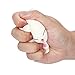 Bibite Exquisite Fun Q Animal Scented Squishy Charm Slow Rising 13cm Simulation Toy Xmas Christmas New Years Gift Bear Snail Tortoise Unicorn Panda Bear (White Cat)