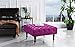 Divano Roma Furniture Classic Tufted Velvet Footrest/Footstool/Ottoman with Casters (Purple)