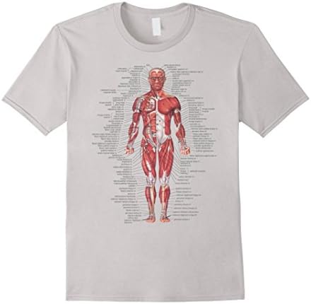 Men's Body - Muscular System Shirt Large Silver