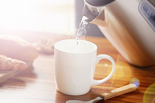 6 Electric+Stainless+British+Shut+Off+BPA+Free