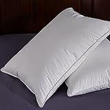 Puredown White Goose Feather and Down Pillow, Queen, Set of 2