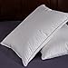 puredown® Natural White Goose Feather Egyptian Cotton Cover 500 Fill Power Set of 2 Bed Pillows, Standard