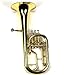 HAICHENWEI Intermediate Monel Pistons Alto Horn w/Case & Mouthpiece-Gold Lacquer Finish