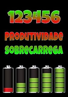 Livro Produtividade Sobrecarregada