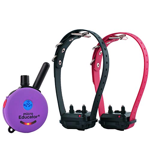 Educator Small Dog Breeds ME-302 Two Dog Micro 1/3 Mile E-Collar Remote Dog Training Collar with Vibration, Tapping Sensation & Pavlovian Stimulation