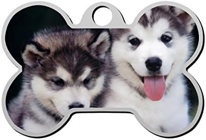 XInhaoLEI Lovely Husky Dog Personalized Pet ID Tags Double Sided Stainless Steel Bone Shape Dog Tag