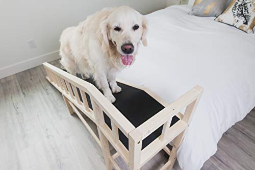 bed ramp for big dogs