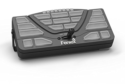 Feniex 4200 Controller with Datalink