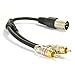kenable XLR Adapter Plug to 2 x Phono RCA Plug Adapter Cable Lead 25cm (~10 inch)
