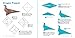 Fun & Easy Origami Kit: 29 Original Paper-folding Projects: Includes Origami Kit with 2 Instruction Books & 98 Origami Papers