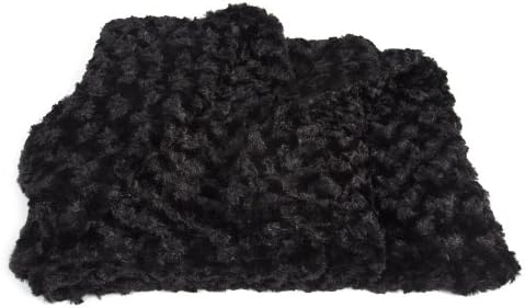 Curly Sue Dog Carrier Blanket by Susan Lanci - Black