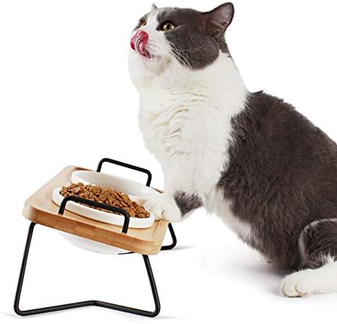 Pmcvse Elevated Ceramic Cat Bowls