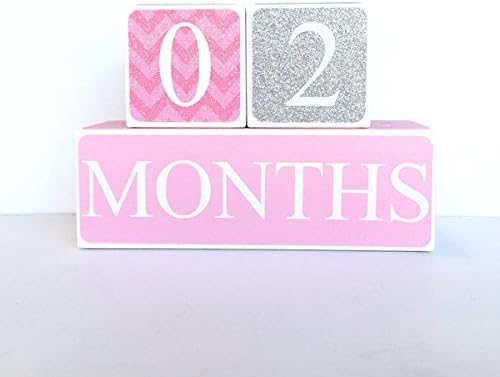 Pink and Gray Baby Age Blocks, Milestone Blocks, Photo Prop, Countdown Blocks