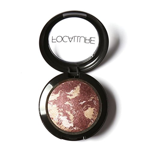 LandFox 10 Colors Noble Metal Diamond Pearl Eye Shadow Makeup Palette Roast (E)
