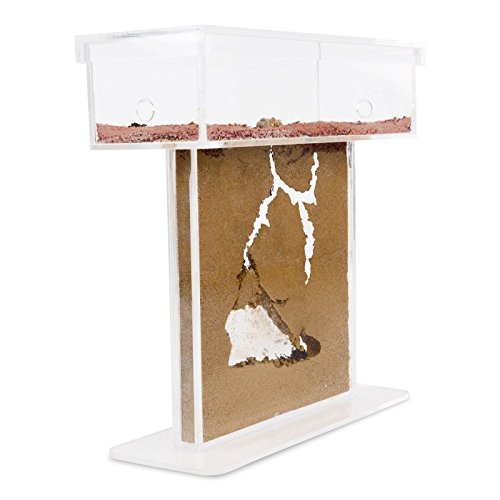Sand Ant Farm T (Anthill, Formicarium, Educational, Ants)