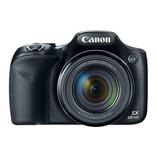 Canon Powershot SX530 HS Camera with 32GB Deluxe Accessory Kit in