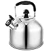 Whistling Tea Kettle Stove TopTeapot, Stainless Steel Teakettle with Fast Boiling Base (3.9Q)
