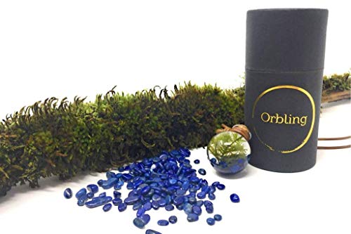 Living, miniature aquarium necklace - Terrarium Pendant | Live Plant Jewelry - Orbling Lapis Lazuli - Thumbnail 3