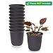 T4U 3 Inch Plastic Round Plant Pot/Cactus Flower Pot/Container Brown Set of 10,Seeding Nursery Planter Pot with Drainage for Flowers Herbs African Violets Succulents Orchid Cactus Indoor Outdoor