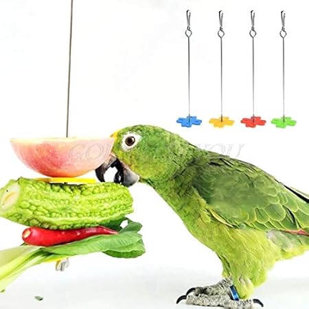 Amazon Com Hot Bird Feeding Pet Parrot Fruit Fork Feeding