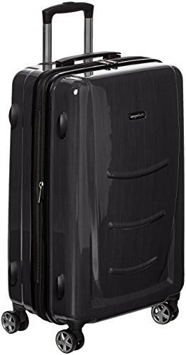 AmazonBasics Hardshell Spinner - 20