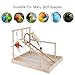 LLY 2019 Parrot Cage Standing Pole Training Frame Bird Perch Parrot Wood Activity Stand Bite Toy Birdcage Exercise for Cockatoo Parakeet Cockatielthumb 4
