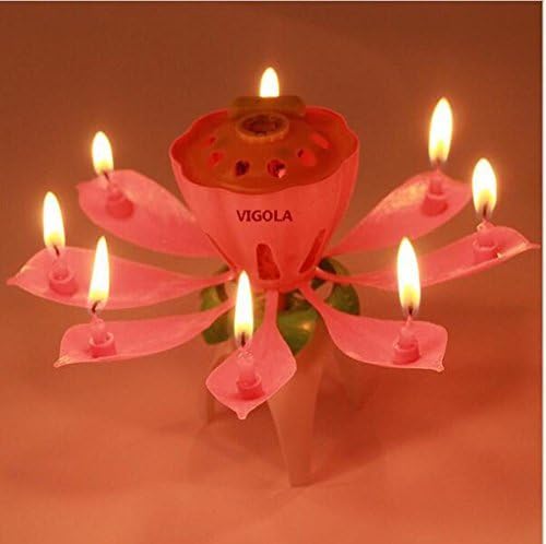 VIGOLA Beautiful Musical Lotus Flower Happy Birthday Party Gift Lights Decoration Lamp (Pink)