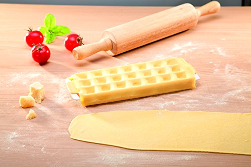 Tescoma 630877.00 Ravioli Maker | Mould For 21 square Ravioli | ravioli cutter| ravioli press | ravioli stamp