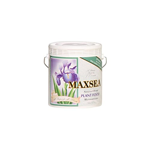 Maxsea All Purpose Plant Food 16 - 16 - 16