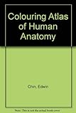 Coloring Atlas of Human Anatomy by Chin Edwin Jr. (1982-04-01) Paperback by 