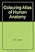 Coloring Atlas of Human Anatomy by Chin Edwin Jr. (1982-04-01) Paperback by 