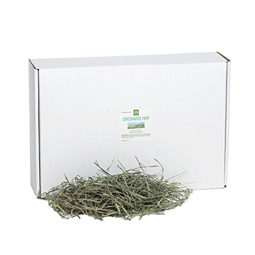 Small Pet Select Orchard Grass Hay Pet Food, 10 lb.