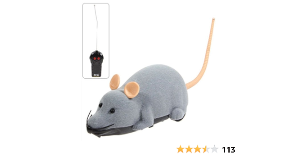 remote mouse toy