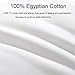 Cosydown Goose Down Alternative Pillows （2 Pack,Queen Soft） 100% Egyptian Cotton with Microfiber Filling Sleep Pillow,Washable，Hypoallergenic (Set of 2)