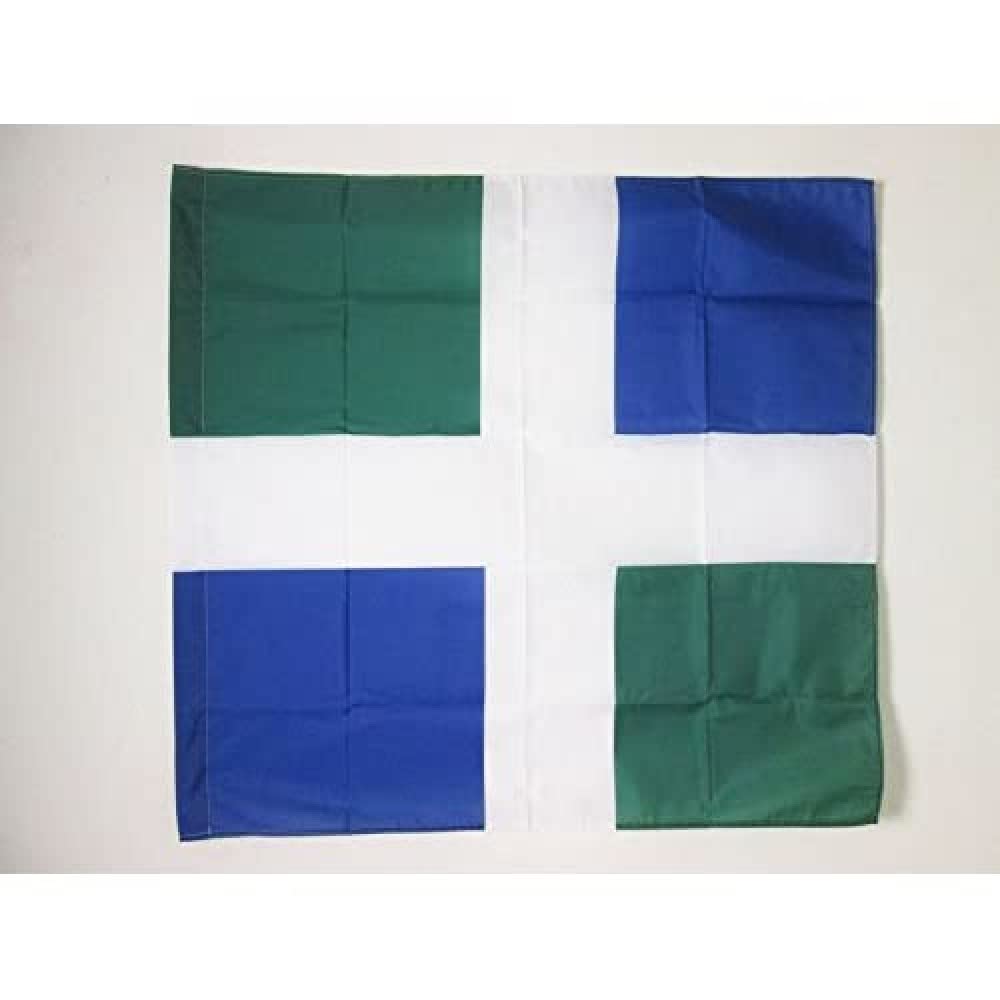 French Empire Infantry Regiment Austrasie 1776-1796 Flag 3' x 3' for a pole - Army of France flags 90 x 90 cm - Banner 3x3 ft with hole - AZ FLAG